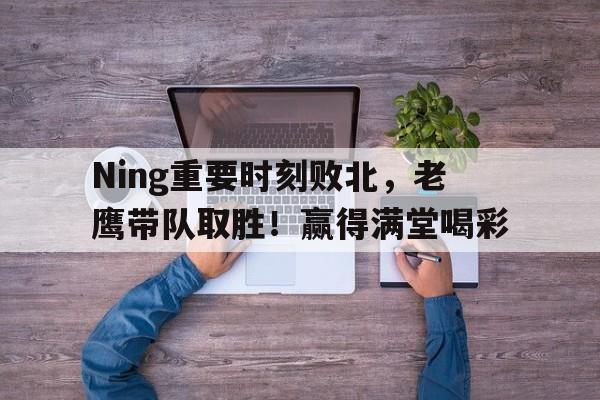 九游电脑版-老鹰对阵